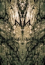 White Fire 2008